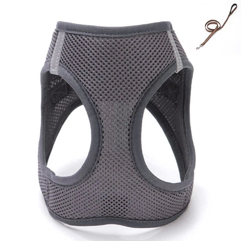 2-dog harness