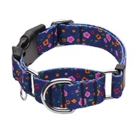 Blue Martingale Collar